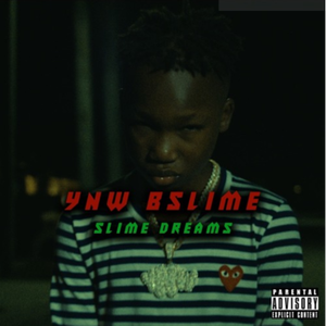 世弃犬青线地带最新版本更新内容
