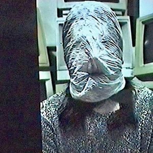 世弃犬青线地带最新版本更新内容
