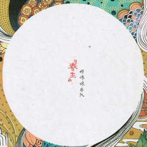 世弃犬青线地带最新版本更新内容
