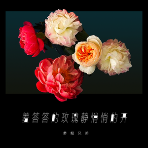 世弃犬青线地带最新版本更新内容
